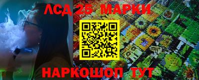 шишки Будённовск